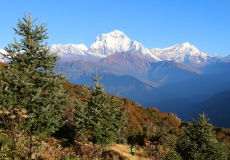 Vracíme se z Poon Hill, Dhaulagiri je již celá nasvícená