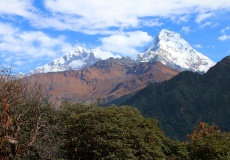 Cesta z Ghorepani do Tadapani, Annapurny