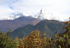 Cesta z Ghorepani do Tadapani, Annapurny