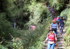 Cesta z Ghorepani do Tadapani, scházíme k řece do údolí