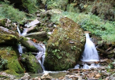 Cesta z Ghorepani do Tadapani