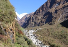 Cesta Deurali - M.B.C. (Machapuchare Base Camp)