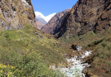 Cesta Deurali - M.B.C. (Machapuchare Base Camp)