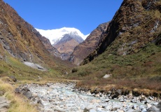 Cesta Deurali - M.B.C. (Machapuchare Base Camp)