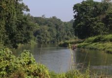 Chitwan