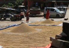 Bhaktapur