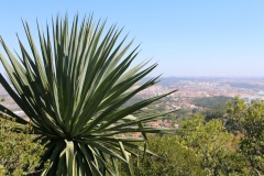 Sintra - Maurský hrad