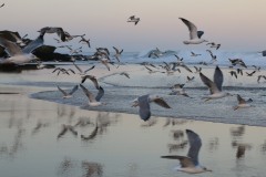 Praia das Macäs - Atlantický oceán