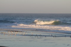 Praia das Macäs - Atlantický oceán