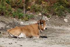 Národní park de Peneda