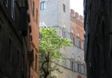 Siena