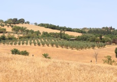 Toskánsko, Castiglione d'Orcia