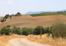 Toskánsko, Castiglione d'Orcia