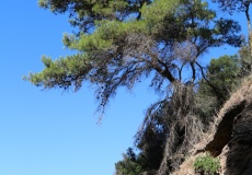 Gargano, Vieste - pláž Cala della Sanguinara