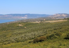 Gargano, pohled na Lago di Varano z čerpací stanice u Cagnano Varano